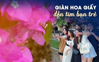 Những giàn hoa giấy 'đốn tim' các bạn trẻ bên bờ sông Hàn