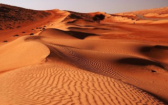 Cưỡi lạc đà, cắm trại dưới trời đầy sao tại sa mạc của Oman