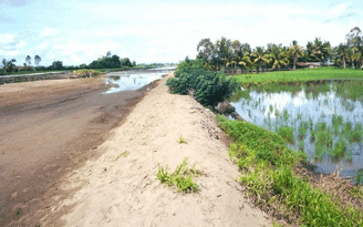 Vụ ruộng lúa gần dự án cao tốc bị chết: Bộ NN-PTNT báo cáo Thủ tướng