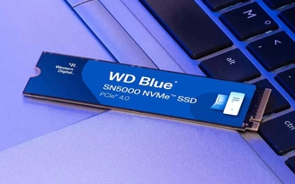 Giá SSD có thể giảm trở lại vào cuối năm nay