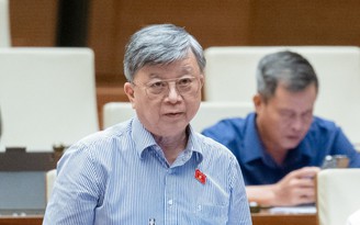 Từ phản ánh của Báo Thanh Niên, đại biểu cảnh báo bất cập đấu giá khoáng sản