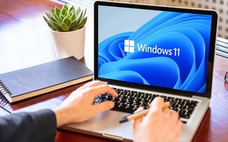 Windows 11 chiếm gần 30% tổng số máy tính Windows