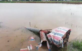Mưa lớn không dứt, nông dân Nam Định cứu lúa bất thành