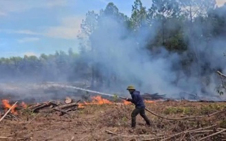 Cháy rừng liên tục, chủ rừng đề nghị làm rõ nghi vấn 'có người đốt'