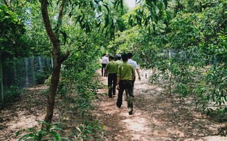 Người nhà chánh án bao chiếm đất công, rừng phòng hộ còn đòi bồi thường