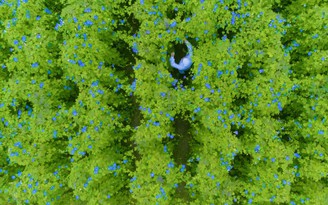 Xu hướng sống Xanh, nhiều người tìm dùng sản phẩm sức khỏe thân thiện môi trường