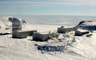 Gấu Bắc Cực vồ chết nhân viên của trạm radar Canada