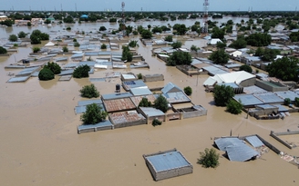 Lũ lụt lớn tàn phá sở thú, cá sấu bị cuốn vào khu dân cư Nigeria