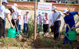 Những con số biết nói cho hành trình 9 năm 'Toyota chung tay xanh hóa học đường'