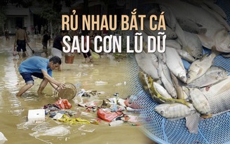 Dân Lào Cai bắt cá ngay trong sân tổ dân phố sau lũ dữ