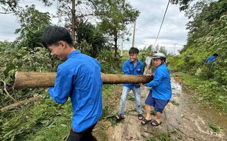 Thanh niên Quảng Ninh đội mưa nắng giúp dân sau bão