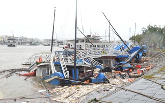 Vịnh Hạ Long đón khách trở lại