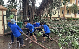 Tin tức đặc biệt trên báo in Thanh Niên 15.9.2024