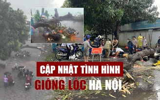 Giông lốc bất ngờ ở Hà Nội: Cây bật gốc đè người đi đường tử vong