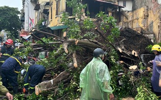 'Siêu bão Yagi vào đất liền sẽ có sức tàn phá rất lớn'