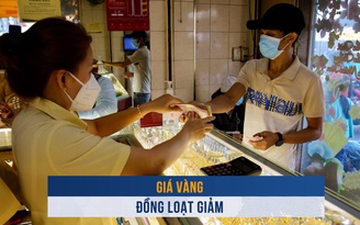 Biến động vàng ngày 13.1: Giá vàng đồng loạt giảm