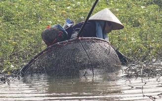 Những phụ nữ đánh dậm ở Phúc Yên