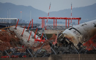 Reuters: Có lông chim và máu trong cả hai động cơ máy bay Jeju Air