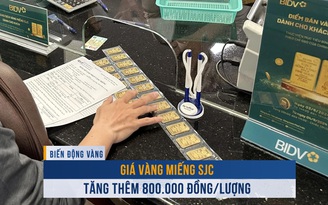 Biến động vàng ngày 24.1: Giá vàng miếng SJC tăng thêm 800.000 đồng/lượng