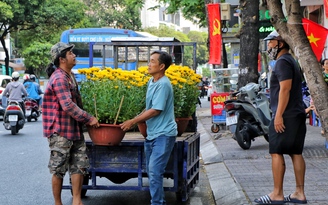 26 tháng chạp: Đường phố TP.HCM khá thông thoáng, hối hả những chuyến xe chở hoa tết