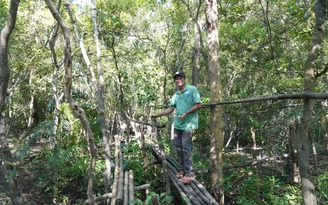 ‘Dũng Khỉ’ giữ rừng