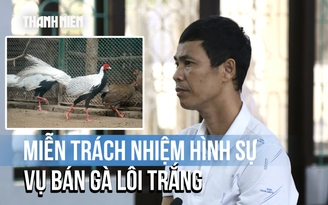 Vụ bán gà lôi trắng lãnh 6 năm tù: Tòa tuyên miễn trách nhiệm hình sự, gia đình vui mừng