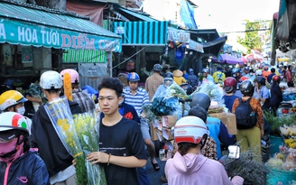 Trước thềm 20.10: Bất ngờ ở chợ hoa lớn nhất TP.HCM, hoa hồng Sophia 'cháy hàng'