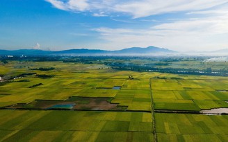 Hà Nội tập trung phát triển nông sản có tiềm năng xuất khẩu