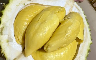 Chỉ 1 tháng, xuất khẩu sầu riêng chạm mốc kỷ lục 1 tỉ USD
