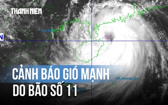 Bão Matmo (bão số 11) mạnh cấp 13, cách Quảng Ninh gần 400 km