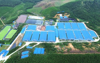 Một xã có 7 trang trại chăn nuôi lợn: Ô nhiễm môi trường rình rập