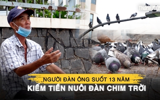 Người đàn ông miền Tây suốt 13 năm kiếm tiền nuôi đàn chim trời, coi như con ruột