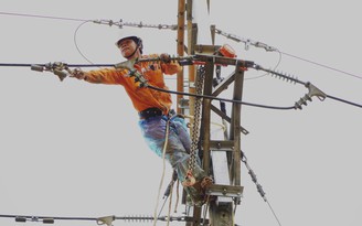 Điện lực Quảng Ngãi làm việc không ngừng nghỉ để khôi phục lưới điện