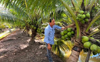 Mặt hàng nào sẽ hưởng lợi khi Mỹ miễn thuế đối ứng?