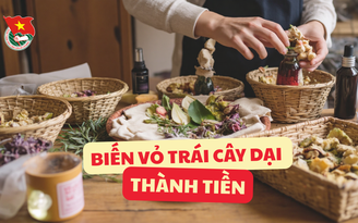 Cùng sống xanh số 134: Chàng trai biến vỏ trái cây dại ven đường thành sản phẩm được thị trường quốc tế ưa chuộng