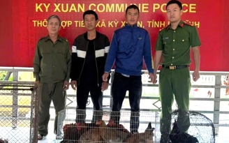 Ăn nhậu xong rủ nhau đi bắt trộm 24 con gà