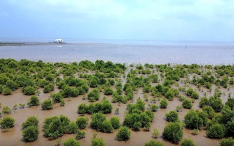 Việt Nam đẩy mạnh giảm phát thải, chống biến đổi khí hậu