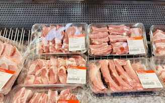 Giá heo hơi hôm nay 25.11.2025: Tăng khắp 3 miền
