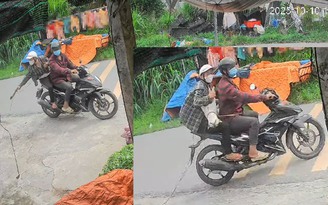 Nhức nhối trộm chó, mèo ở TP.HCM - Kỳ 1: Manh động và táo tợn