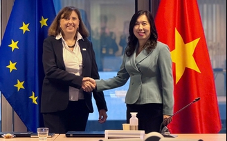 EU đã hỗ trợ 850.000 euro cho Việt Nam để khắc phục hậu quả do bão