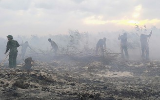 Quảng Trị: Cháy rừng phòng hộ ven biển do người dân đốt thực bì