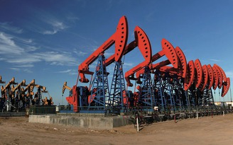 Giá xăng dầu hôm nay 29.11.2025: Thế giới giảm, xăng trong nước dự báo tăng