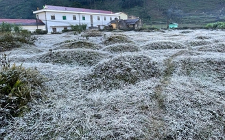 Băng giá, sương muối đến sớm, mùa đông năm nay rét mạnh