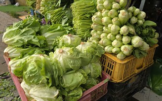 Sau mưa lũ, giá rau xanh ở Lâm Đồng tăng chóng mặt