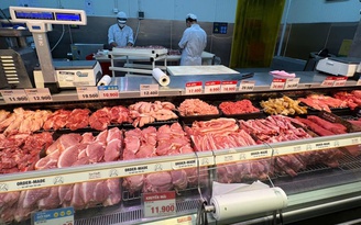 Giá heo hơi hôm nay 3.11.2025: Thấp nhất trong 1 năm qua