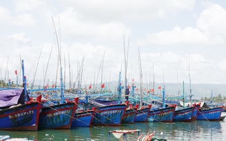 Việt Nam kiên quyết xử lý nghiêm các hành vi vi phạm IUU