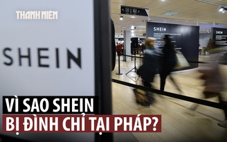 Pháp đình chỉ Shein vì bán búp bê tình dục và vũ khí