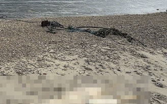 Một thi thể không còn nguyên vẹn trôi dạt vào bờ biển Quảng Ngãi