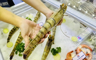 Trung Quốc tăng gom hàng tết, xuất khẩu tôm Việt Nam cao kỷ lục
