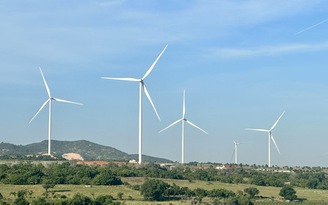 Loạt dự án điện tái tạo tỉ đô sẽ được khởi công, khánh thành ngày 19.12